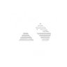 SARPI SPA